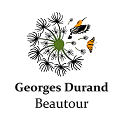 Georges Durand Beautour