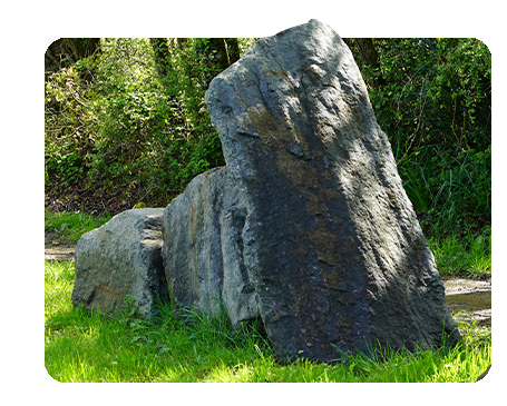 Univers-Visuel jardin des roches