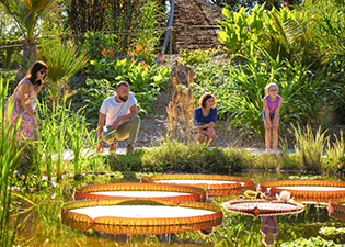 30-000-visiteurs-pour-la-première-saison-du-Potager-Extraordinaire