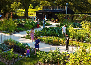 Le-Potager-Extraordinaire-rouvre-ses-portes-le-1er-juillet-2025-pour-sa-saison-3