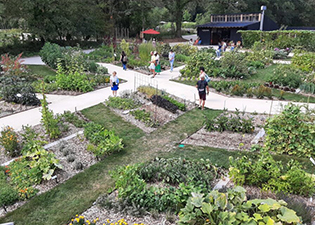 e-Potager-extraordinaire-emmène-les-petits-curieux-à-la-découverte-des-légumes-du-jardin