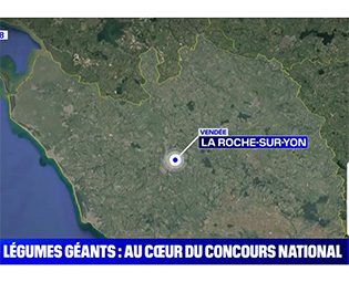 Capture-d’écran-2025-09-16-162514