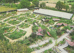 Le-Potager-extraordinaire-cultive-le-monde-2