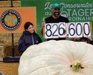 concours-national-des-fruits-et-legumes-geants