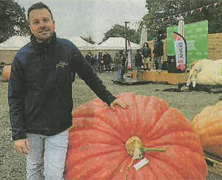 des-potirons-qui-depassent-la-tonne