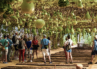 Avec-40-000-visiteurs,-la-belle-saison-du-Potager-extraordinaire