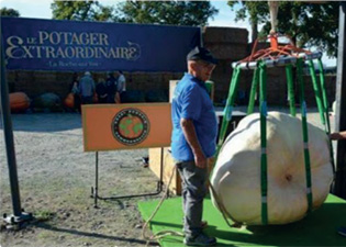 Ça-ne-s’improvise-pas leur-potiron-géant-de-417-kilos-bat-le-record-de-Bretagne