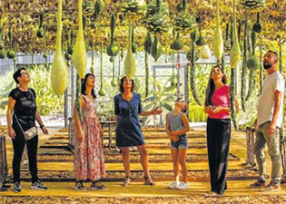 Une-fréquentation-en-hausse-de-25%-pour-le-potager-extraordinaire