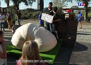 ces-courges-ont-le-melon